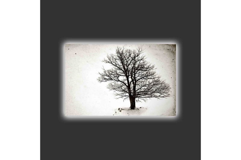 Canvastavla med LED-belysning - Ensam, bar trädkrona mot en vit bakgrund - Svart / Vit - Inredning - Tavlor & posters - Canvastavla
