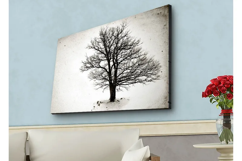 Canvastavla med LED-belysning - Ensam, bar trädkrona mot en vit bakgrund - Svart / Vit - Inredning - Tavlor & posters - Canvastavla