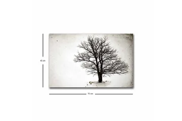 Canvastavla med LED-belysning - Ensam, bar trädkrona mot en vit bakgrund - Svart / Vit - Inredning - Tavlor & posters - Canvastavla