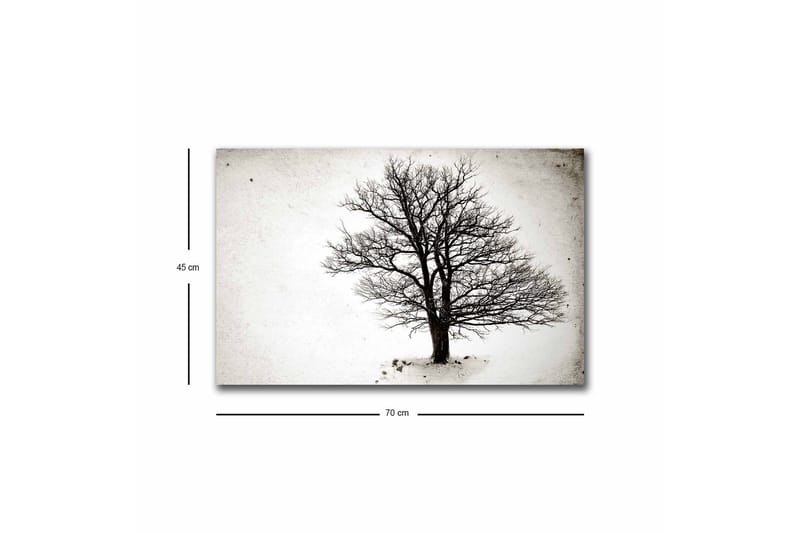 Canvastavla med LED-belysning - Ensam, bar trädkrona mot en vit bakgrund - Svart / Vit - Inredning - Tavlor & posters - Canvastavla