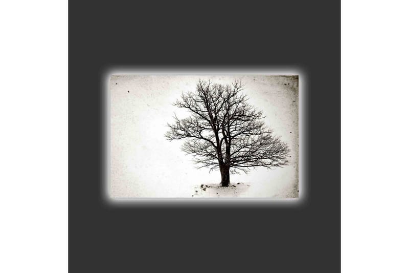 Canvastavla med LED-belysning - Ensam, bar trädkrona mot en vit bakgrund - Svart / Vit - Inredning - Tavlor & posters - Canvastavla