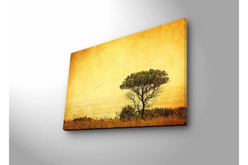 Canvastavla med LED-belysning - Ensam trädkontur mot en gyllene himmel - Guld / Brunt / Svart - Inredning - Tavlor & posters - Canvastavla