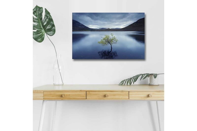 Canvastavla med LED-belysning - Ensam trädkrona som speglas i stilla vatten - Mörkblå / Grön / Grå - Inredning - Tavlor & posters - Canvastavla