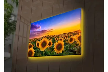 Canvastavla med LED-belysning - Fält av solrosor under en färgsprakande himmel - Gult / Grönt / Blått - Inredning - Tavlor & posters - Canvastavla