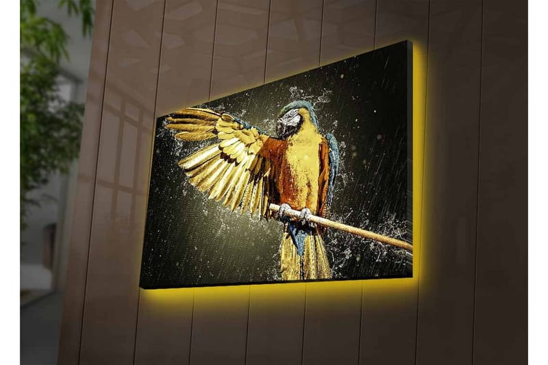 Canvastavla med LED-belysning - Färgglad papegoja med utsträckta vingar - Guld / Blå / Grön - Inredning - Tavlor & posters - Canvastavla