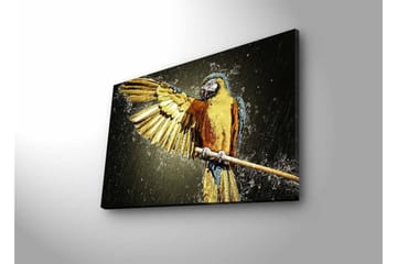 Canvastavla med LED-belysning - Färgglad papegoja med utsträckta vingar - Guld / Blå / Grön - Inredning - Tavlor & posters - Canvastavla