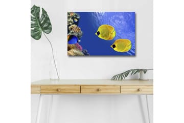 Canvastavla med LED-belysning - Färgglada tropiska fiskar simmande i ett korallrev - Blå / Gul / Lila - Inredning - Tavlor & posters - Canvastavla