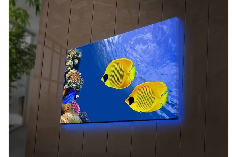 Canvastavla med LED-belysning - Färgglada tropiska fiskar simmande i ett korallrev - Blå / Gul / Lila - Inredning - Tavlor & posters - Canvastavla