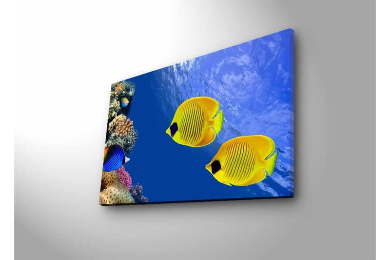 Canvastavla med LED-belysning - Färgglada tropiska fiskar simmande i ett korallrev - Blå / Gul / Lila - Inredning - Tavlor & posters - Canvastavla