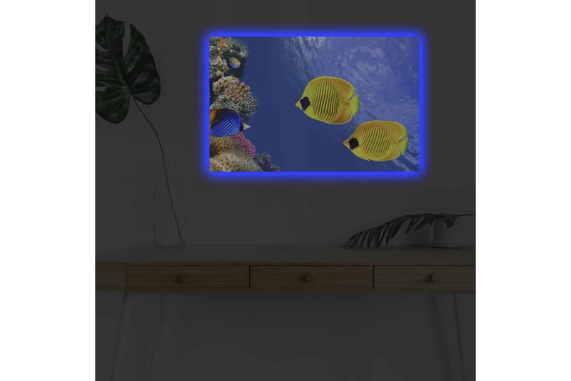 Canvastavla med LED-belysning - Färgglada tropiska fiskar simmande i ett korallrev - Blå / Gul / Lila - Inredning - Tavlor & posters - Canvastavla