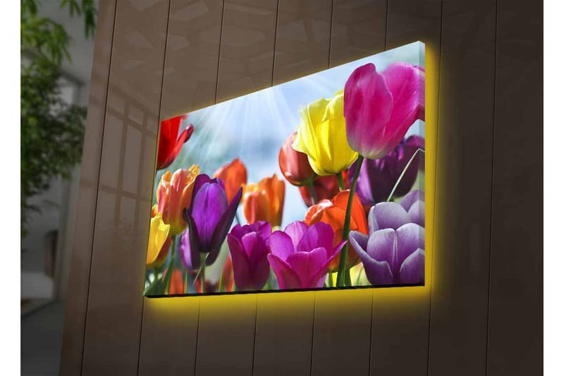 Canvastavla med LED-belysning - Färgrik bukett av tulpaner - Lila / Röd / Gul - Inredning - Tavlor & posters - Canvastavla