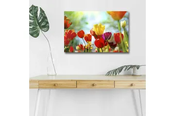 Canvastavla med LED-belysning - Färgrik bukett av tulpaner - Röd / Gul / Lila - Inredning - Tavlor & posters - Canvastavla