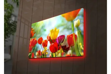 Canvastavla med LED-belysning - Färgrik bukett av tulpaner - Röd / Gul / Lila - Inredning - Tavlor & posters - Canvastavla