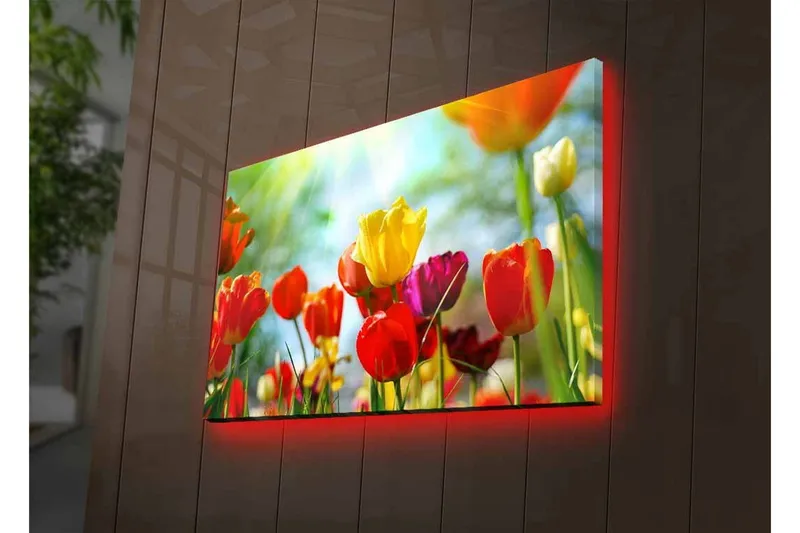 Canvastavla med LED-belysning - Färgrik bukett av tulpaner - Röd / Gul / Lila - Inredning - Tavlor & posters - Canvastavla