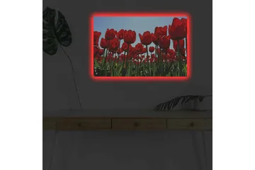 Canvastavla med LED-belysning - Färgrik tulpanfält i full blomning - Röd / Grön - Inredning - Tavlor & posters - Canvastavla