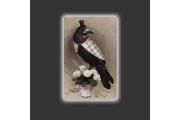 Canvastavla med LED-belysning - Fågel i elegant klädsel med en bukett rosor - Svart / Ljusrosa / Beige - Inredning - Tavlor & posters - Canvastavla