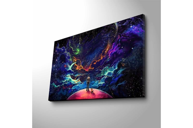 Canvastavla med LED-belysning - Fantastisk rymdscen med en människa och en hund på en planet - Lila / Blå / Rosa - Inredning - Tavlor & posters - Canvastavla