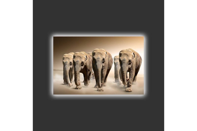 Canvastavla med LED-belysning - Fem elefanter som går i rad genom en sandig miljö - Beige / Brun / Grå - Inredning - Tavlor & posters - Canvastavla