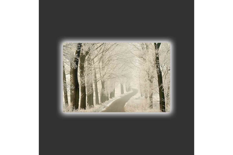 Canvastavla med LED-belysning - Frostig väg omgiven av snöklädda träd - Vit / Grå / Svart - Inredning - Tavlor & posters - Canvastavla