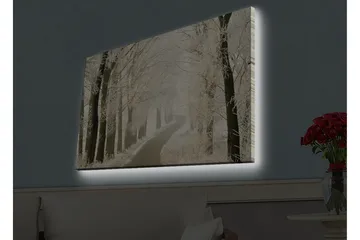 Canvastavla med LED-belysning - Frostig väg omgiven av snöklädda träd - Vit / Grå / Svart - Inredning - Tavlor & posters - Canvastavla