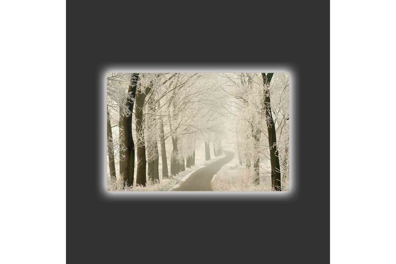 Canvastavla med LED-belysning - Frostig väg omgiven av snöklädda träd - Vit / Grå / Svart - Inredning - Tavlor & posters - Canvastavla