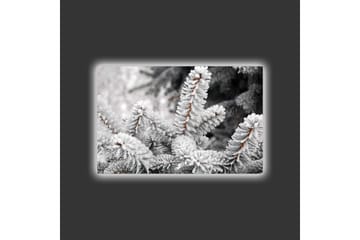 Canvastavla med LED-belysning - Frostiga granar i vinterlandskap - Vit / Grå / Brun - Inredning - Tavlor & posters - Canvastavla