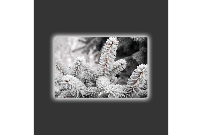 Canvastavla med LED-belysning - Frostiga granar i vinterlandskap - Vit / Grå / Brun - Inredning - Tavlor & posters - Canvastavla