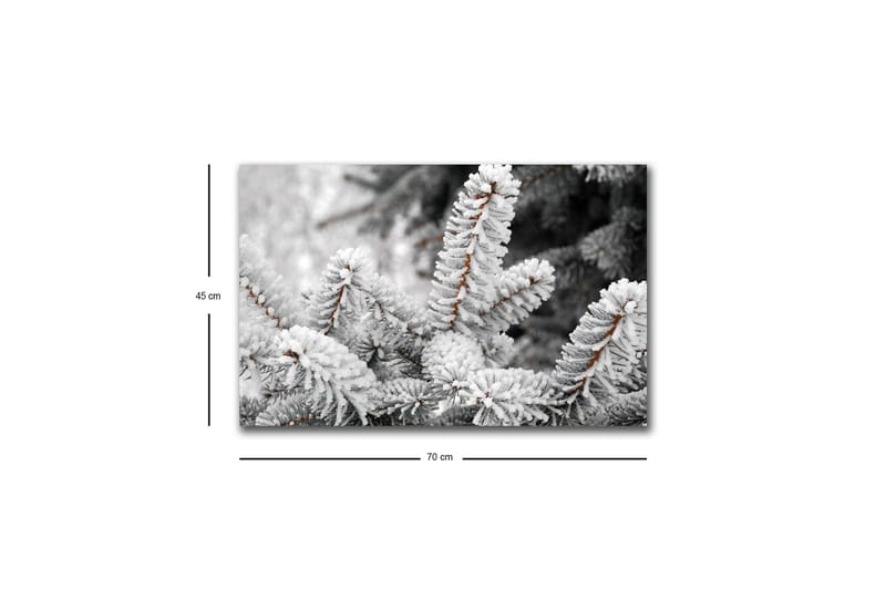 Canvastavla med LED-belysning - Frostiga granar i vinterlandskap - Vit / Grå / Brun - Inredning - Tavlor & posters - Canvastavla