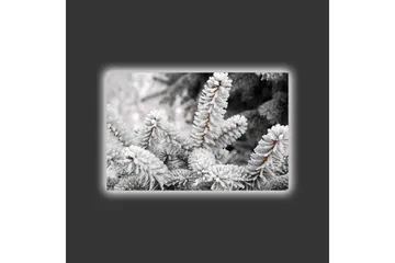 Canvastavla med LED-belysning - Frostiga granar i vinterlandskap - Vit / Grå / Brun - Inredning - Tavlor & posters - Canvastavla