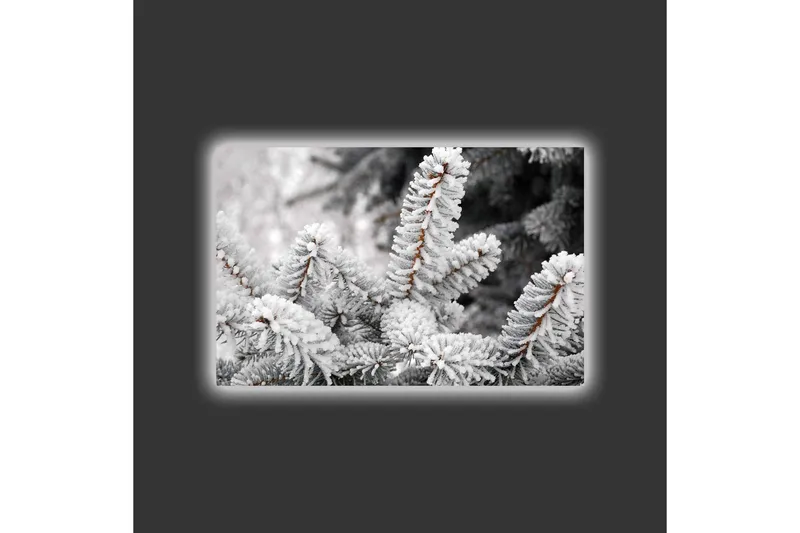 Canvastavla med LED-belysning - Frostiga granar i vinterlandskap - Vit / Grå / Brun - Inredning - Tavlor & posters - Canvastavla
