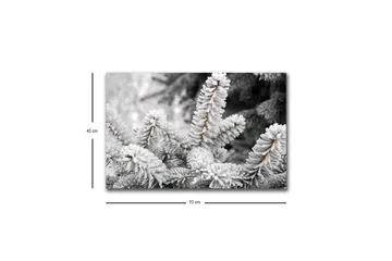 Canvastavla med LED-belysning - Frostiga granar i vinterlandskap - Vit / Grå / Brun - Inredning - Tavlor & posters - Canvastavla