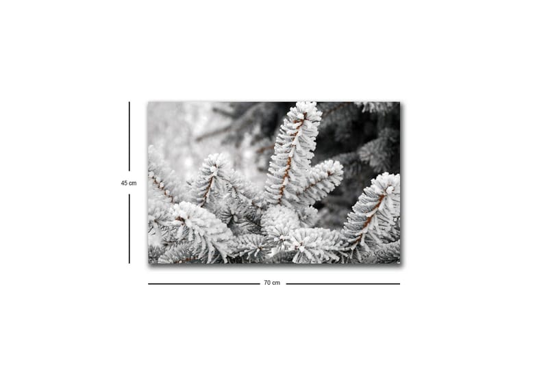 Canvastavla med LED-belysning - Frostiga granar i vinterlandskap - Vit / Grå / Brun - Inredning - Tavlor & posters - Canvastavla