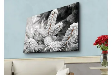 Canvastavla med LED-belysning - Frostiga granar i vinterlandskap - Vit / Grå / Brun - Inredning - Tavlor & posters - Canvastavla
