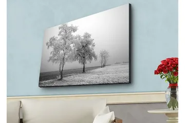 Canvastavla med LED-belysning - Frostiga träd i en vinterlandskap - Vitt / Grått - Inredning - Tavlor & posters - Canvastavla