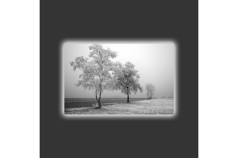 Canvastavla med LED-belysning - Frostiga träd i en vinterlandskap - Vitt / Grått - Inredning - Tavlor & posters - Canvastavla