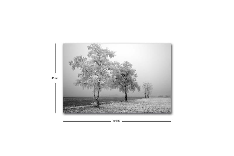 Canvastavla med LED-belysning - Frostiga träd i en vinterlandskap - Vitt / Grått - Inredning - Tavlor & posters - Canvastavla