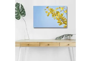 Canvastavla med LED-belysning - Ginkgo-blad mot en klar blå himmel - Gul / Blå - Inredning - Tavlor & posters - Canvastavla