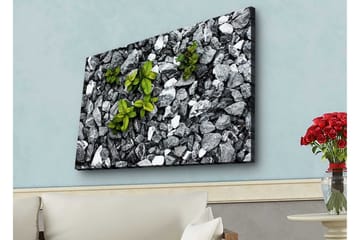 Canvastavla med LED-belysning - Grå stenig yta med gröna växter som växer fram - Grå / Grön - Inredning - Tavlor & posters - Canvastavla