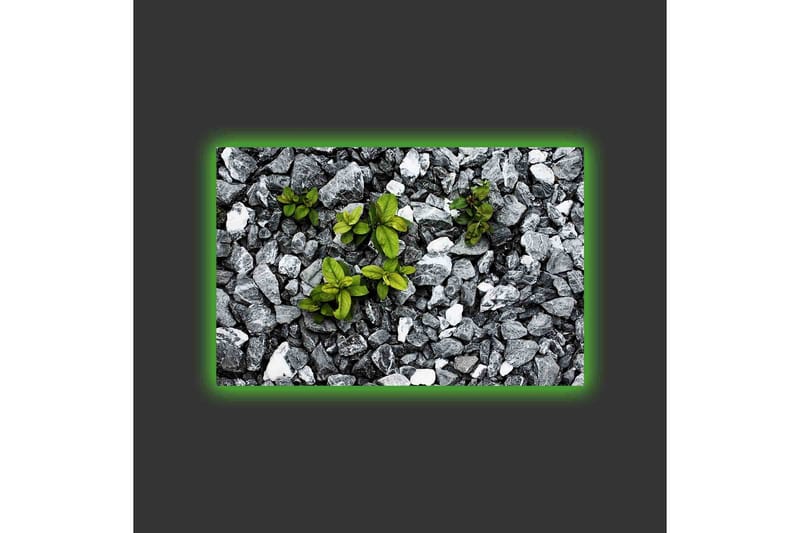 Canvastavla med LED-belysning - Grå stenig yta med gröna växter som växer fram - Grå / Grön - Inredning - Tavlor & posters - Canvastavla