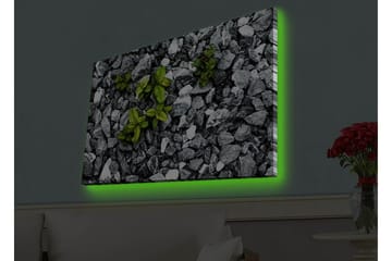 Canvastavla med LED-belysning - Grå stenig yta med gröna växter som växer fram - Grå / Grön - Inredning - Tavlor & posters - Canvastavla