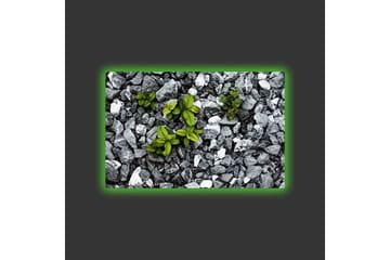 Canvastavla med LED-belysning - Grå stenig yta med gröna växter som växer fram - Grå / Grön - Inredning - Tavlor & posters - Canvastavla