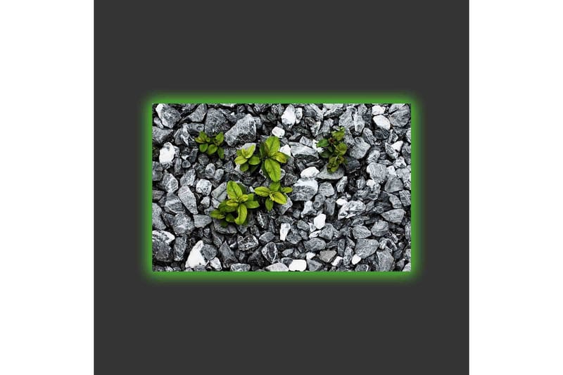 Canvastavla med LED-belysning - Grå stenig yta med gröna växter som växer fram - Grå / Grön - Inredning - Tavlor & posters - Canvastavla