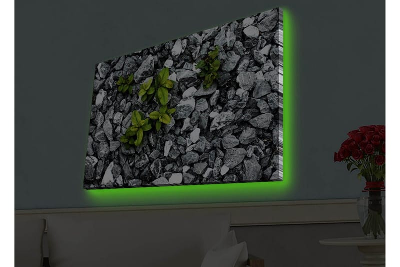 Canvastavla med LED-belysning - Grå stenig yta med gröna växter som växer fram - Grå / Grön - Inredning - Tavlor & posters - Canvastavla