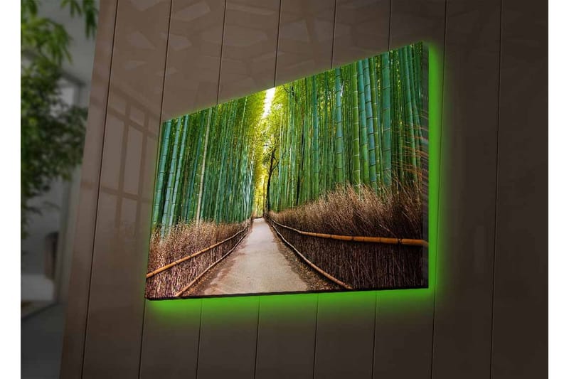 Canvastavla med LED-belysning - Grön bambuskog med en stig som leder genom träden - Grön / Brun - Inredning - Tavlor & posters - Canvastavla