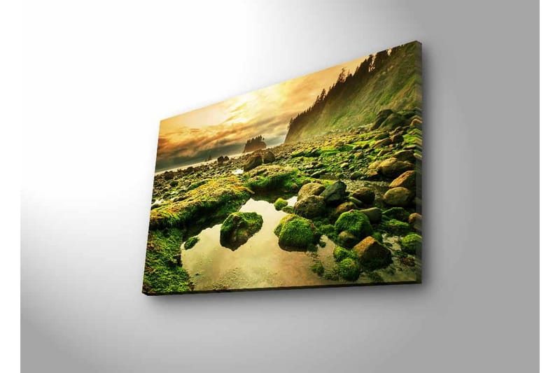 Canvastavla med LED-belysning - Grönskande kustlandskap med klippor och spegelblanka vattenpölar - Grön / Brun / Gul - Inredning - Tavlor & posters - Canvastavla