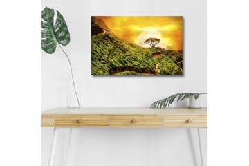 Canvastavla med LED-belysning - Grönskande landskap med en ensam trädkrona mot en gyllene himmel - Grön / Guld / Brun - Inredning - Tavlor & posters - Canvastavla