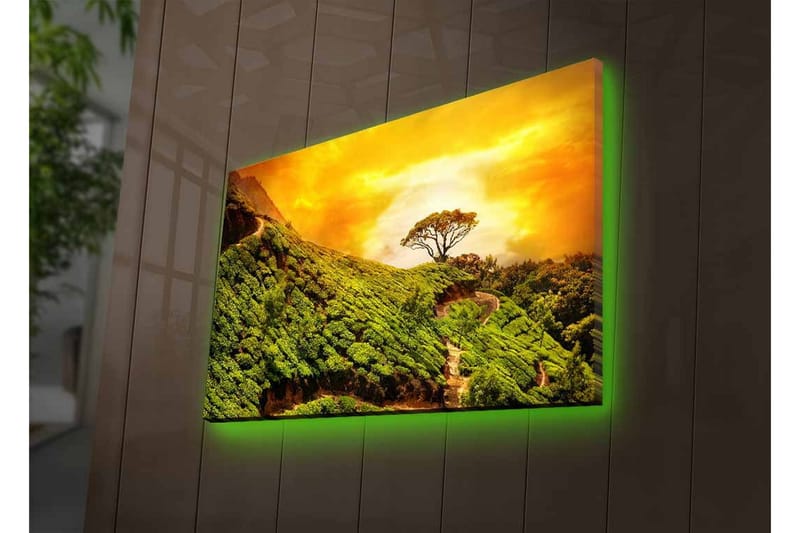 Canvastavla med LED-belysning - Grönskande landskap med en ensam trädkrona mot en gyllene himmel - Grön / Guld / Brun - Inredning - Tavlor & posters - Canvastavla