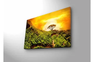 Canvastavla med LED-belysning - Grönskande landskap med en ensam trädkrona mot en gyllene himmel - Grön / Guld / Brun - Inredning - Tavlor & posters - Canvastavla