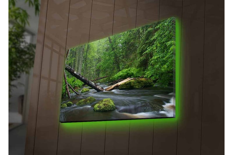 Canvastavla med LED-belysning - Grönskande skog med en porlande bäck - Grön / Brun / Svart - Inredning - Tavlor & posters - Canvastavla