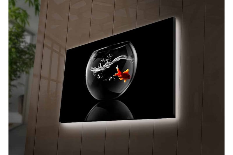 Canvastavla med LED-belysning - Guld fisk simmande i en glasbehållare med vattenstänk - Svart / Röd / Transparent - Inredning - Tavlor & posters - Canvastavla